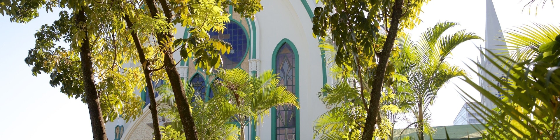 Monasterio de las Carmelitas mostrando aspectos religiosos, un parque y arquitectura patrimonial