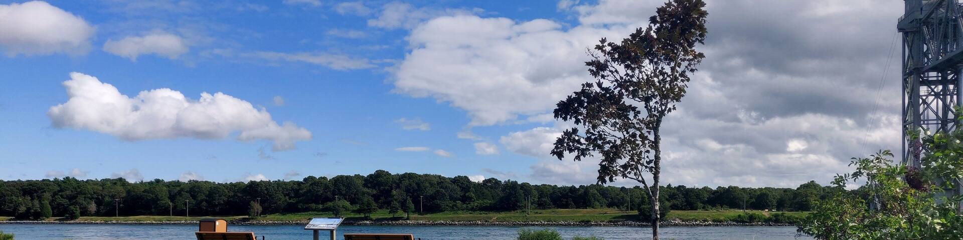 reflection of trees in the lake