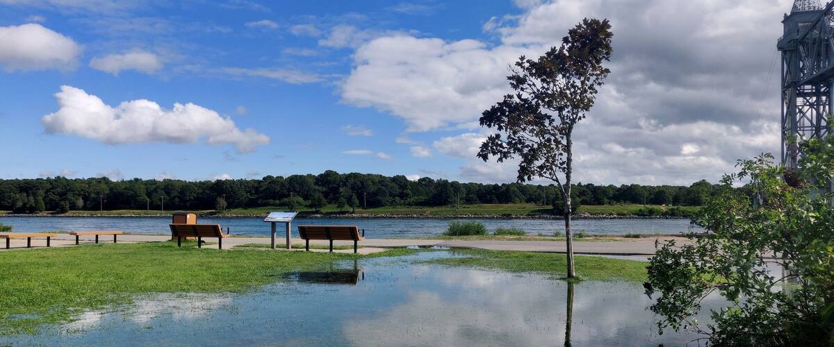 A lakeside park with benches and a tree, surrounded by a forest and a bridge.