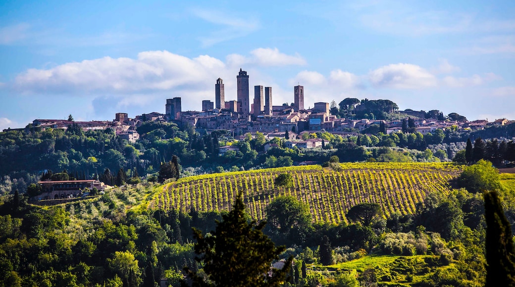 Die Skyline von San Gimignano in der Abendsonne