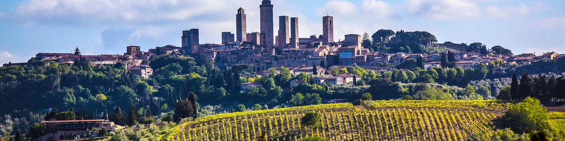 Die Skyline von San Gimignano in der Abendsonne