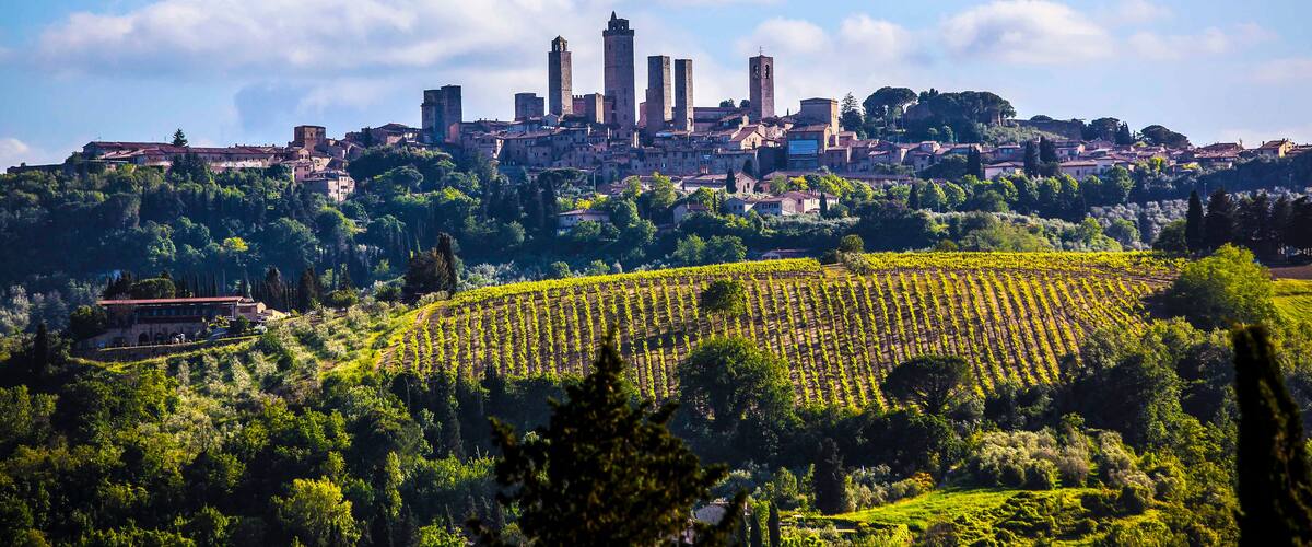 A city with historic towers and a vineyard.