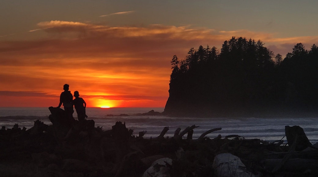 Hidden away are some of America’s greatest gems. I suggest renting a cabin from the beautiful Quileute tribe, exploring their many beaches, but take time to enjoy your purpose as well. As a disabled veteran father, I saw 2 things I needed to capture for this image to work, the color, and my children. Find your purpose #OnTheRoad
