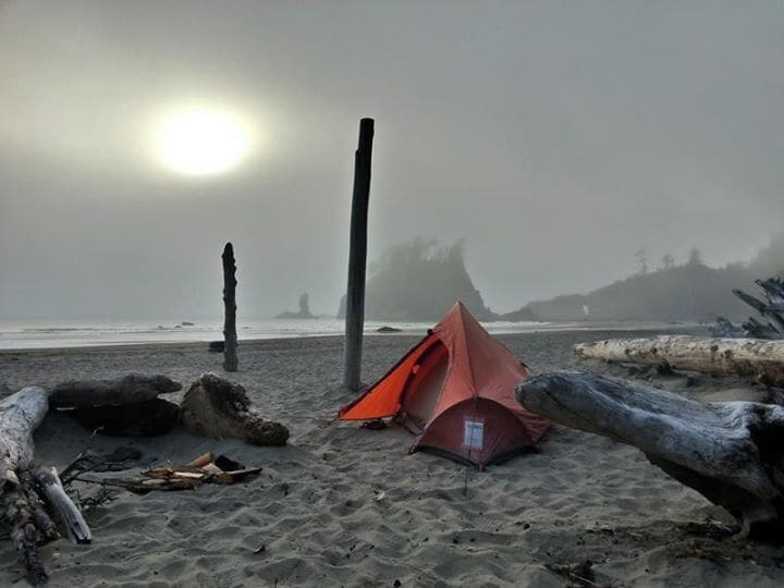 A foggy beach with a red tent, driftwood, and a wooden post.