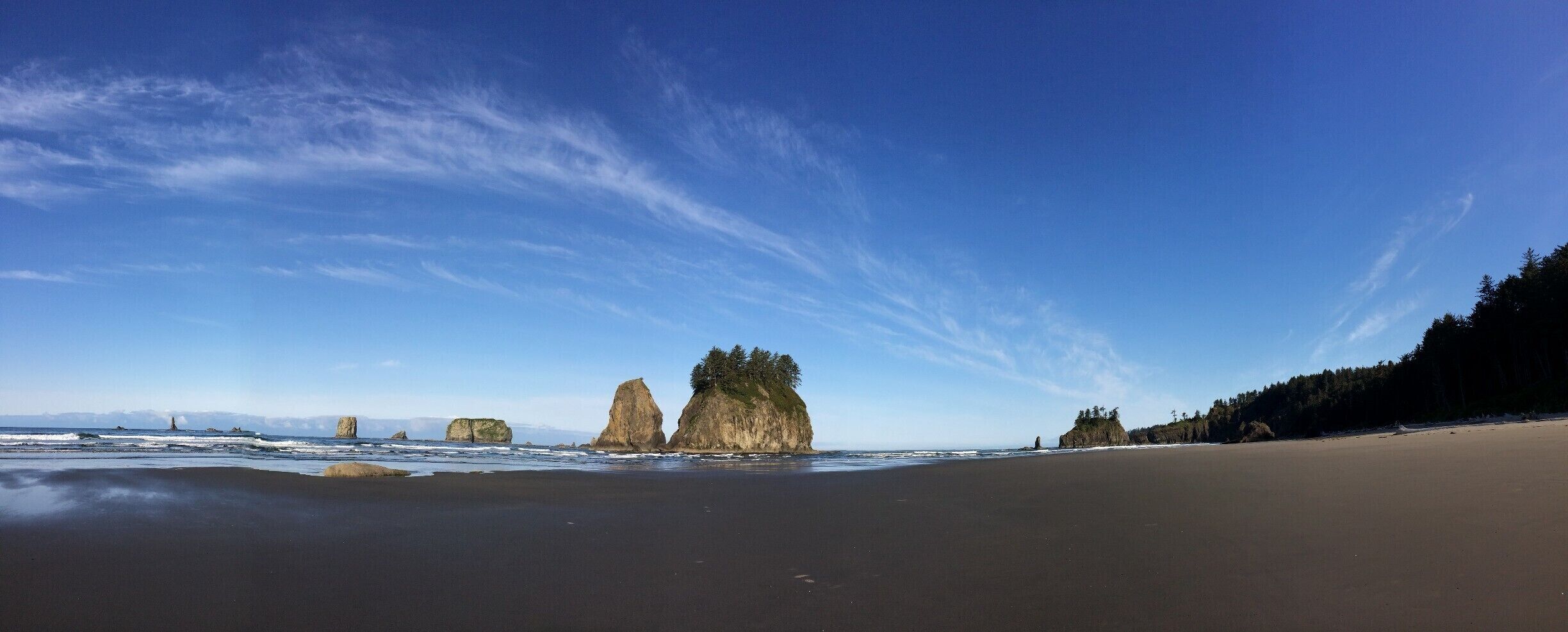 A beach with large rock formations and a forested cliff.