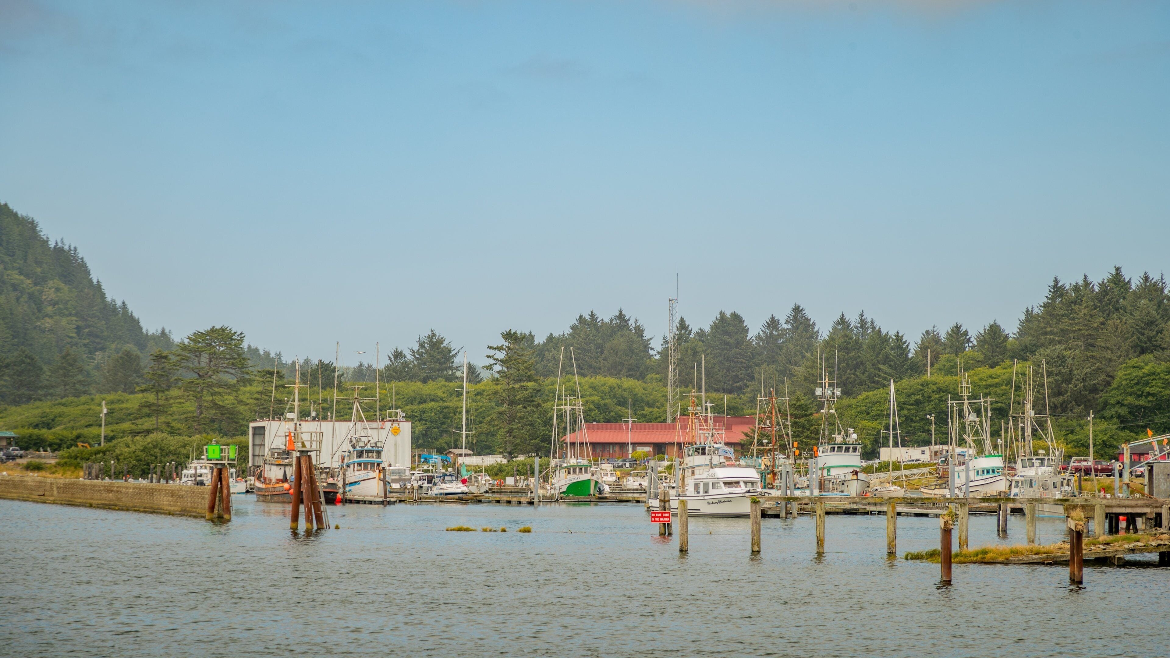 A harbor with boats, a red-roofed building, and a forested hillside.
