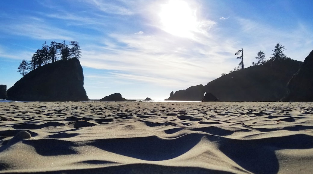 Hiking around the Pacific Northwest. Stopped to take an break at dusk to enjoy the sunset along the coast of the Pacific ocean. Silhouettes of rocks stretching from the waters and toward the sky. #adventure #ocean #pacificocean #hiking #travel #coastline #shores #sunset #rocks #trees #sand #dream #breathe