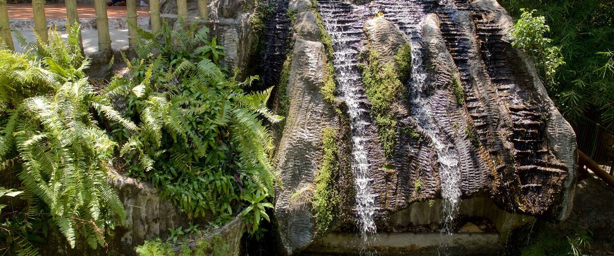 A waterfall cascading over a rocky surface, surrounded by lush green ferns and bamboo.