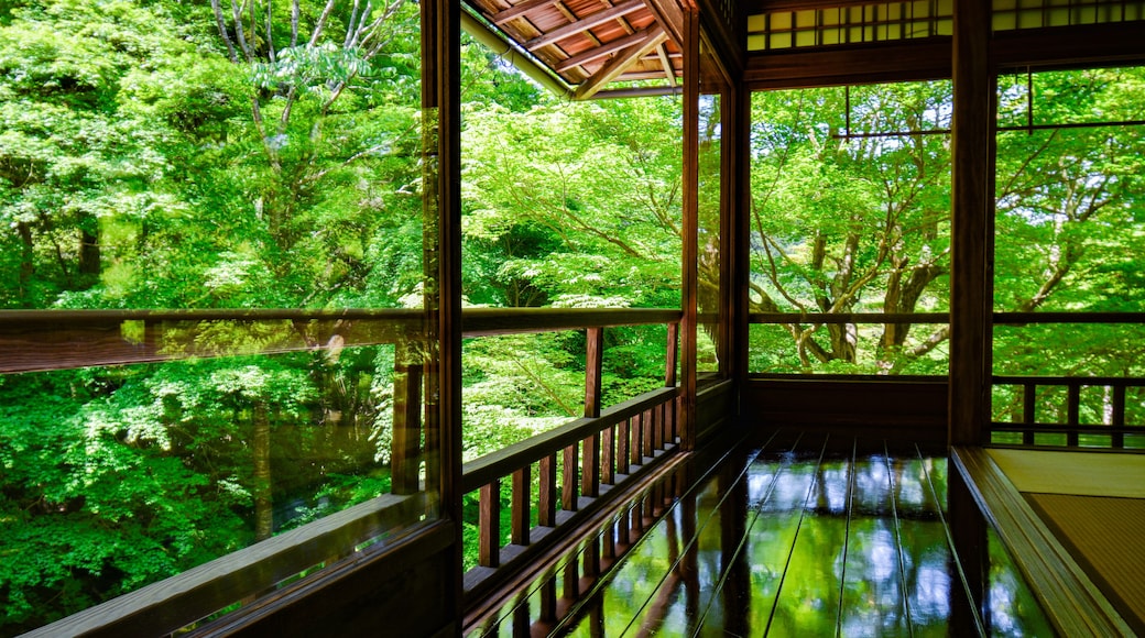 京都 瑠璃光院の新緑
