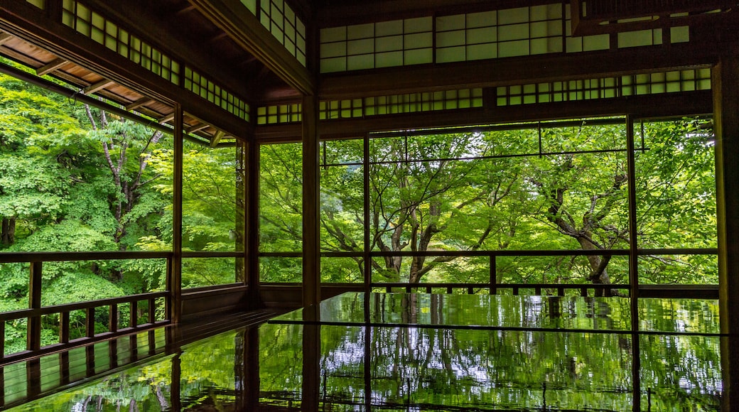 新緑の瑠璃光院