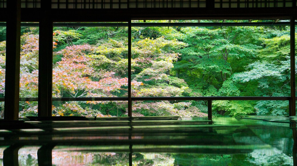 Beautiful fresh greenery and autumn leaves reflected on the table at Rurikoin Temple in Kyoto, Japan