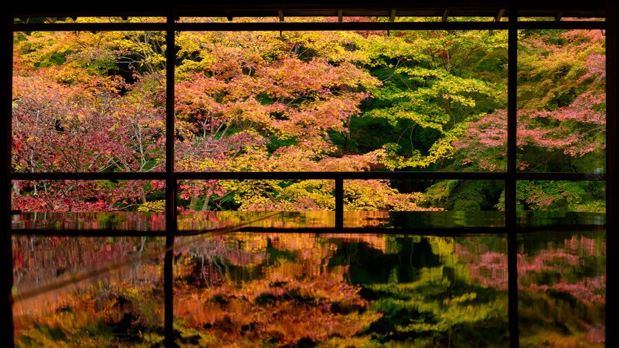 晩秋の瑠璃光院
