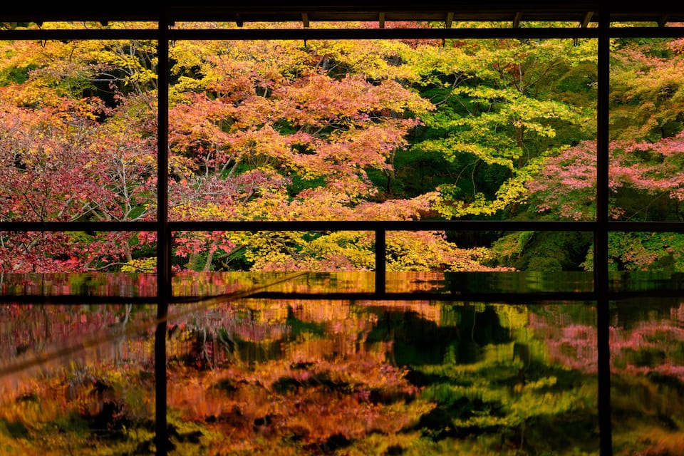 A multi-paneled view of a serene lake reflecting vibrant autumn foliage.