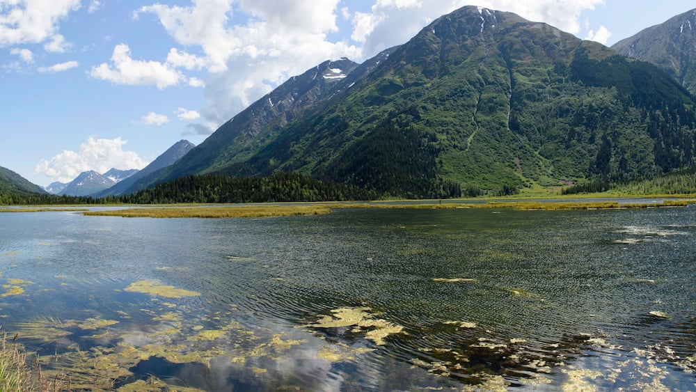 A mountain lake surrounded by forested mountains.