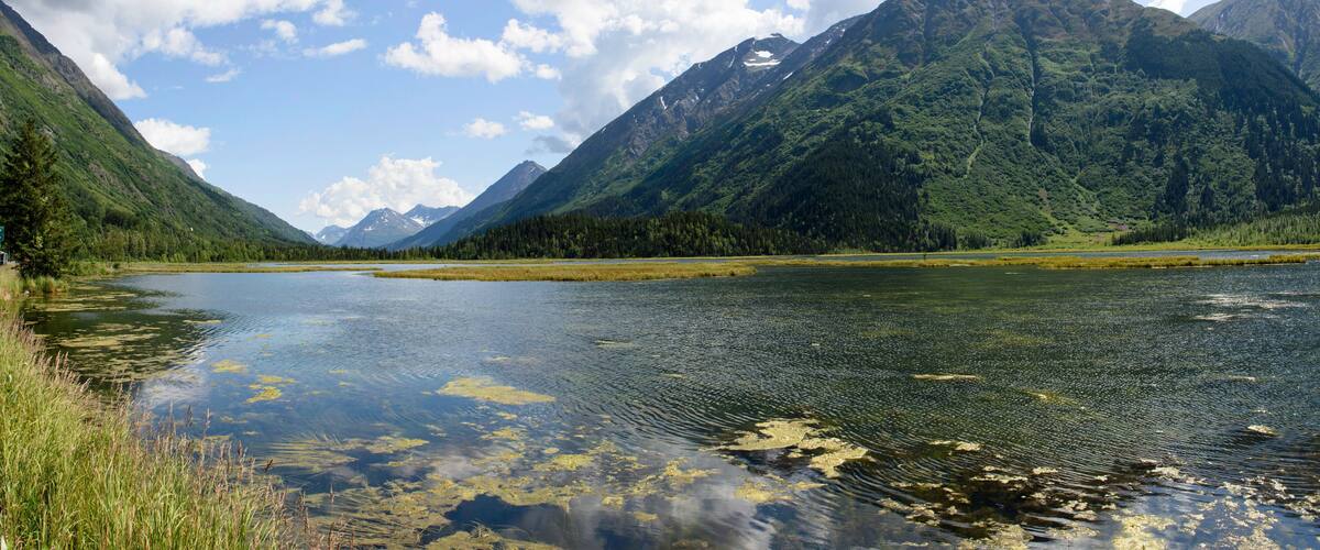 A mountain lake surrounded by forested mountains.