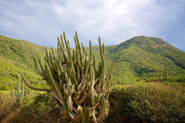 Réserve écologique Serra das Emerencias mettant en vedette scÚnes tranquilles