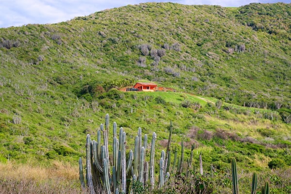 A green hillside with a red house on top.