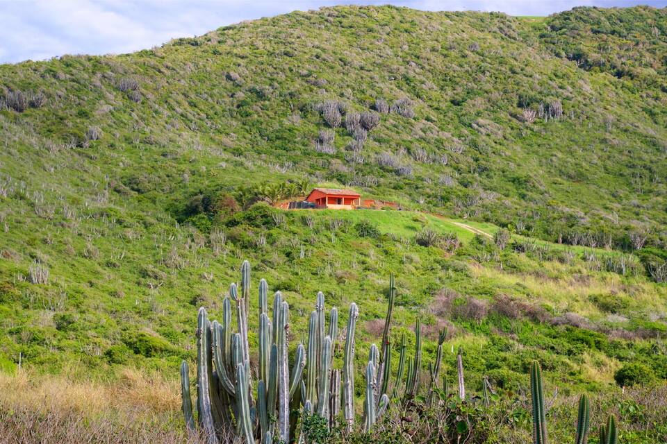 Uma encosta verde com uma casa vermelha no topo.