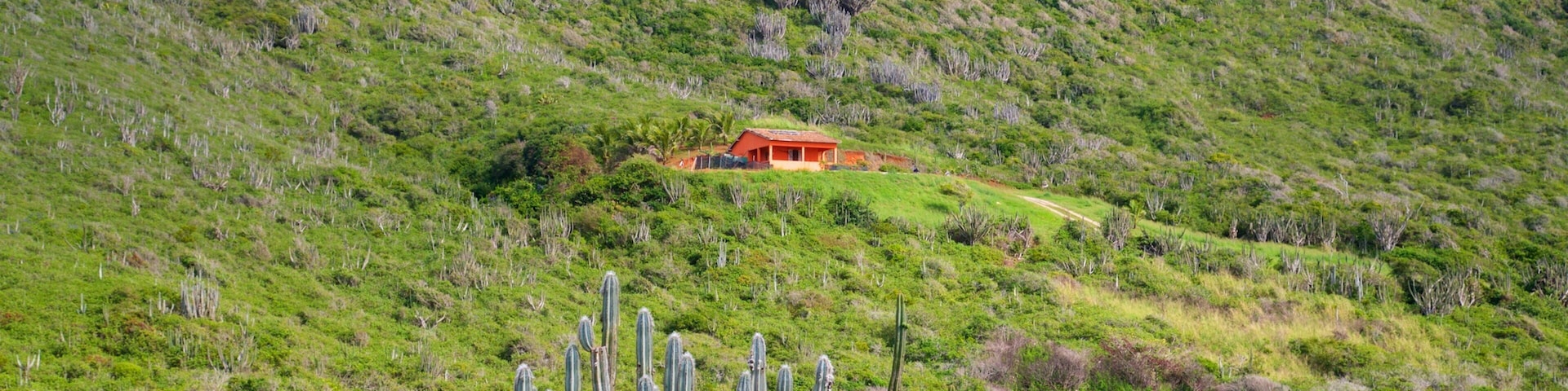 Reserve Serra das Emerencias which includes tranquil scenes