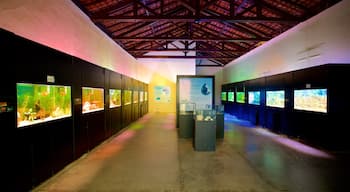 Municipal Aquarium which includes interior views and marine life