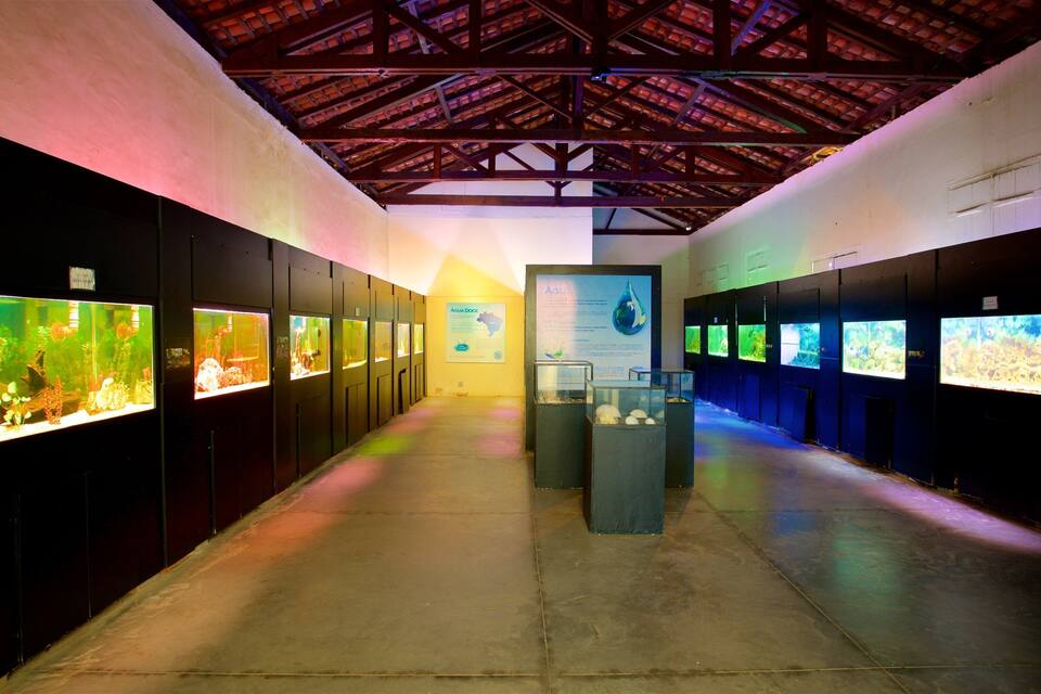 Exposició interior amb aquaris i panells informatius.