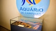 市政水族館