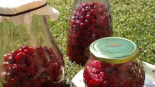 Sour cherries, you can find them in Italy in the summer time and you will often see jars of them out in the sun. If you are lucky enough to stay at an agriturismo with these beautiful fruit. Pick as many as you can, jar them, add sugar if you like and let them sit in the sun for a day or two. The end result is delicious on its own or as a topping for ice cream or plain white cake. You're welcome! #roadtrip #Delicious Photo Challenge http://www.acooknotmad.com/2012/07/life-at-pascianella-agriturismo.html