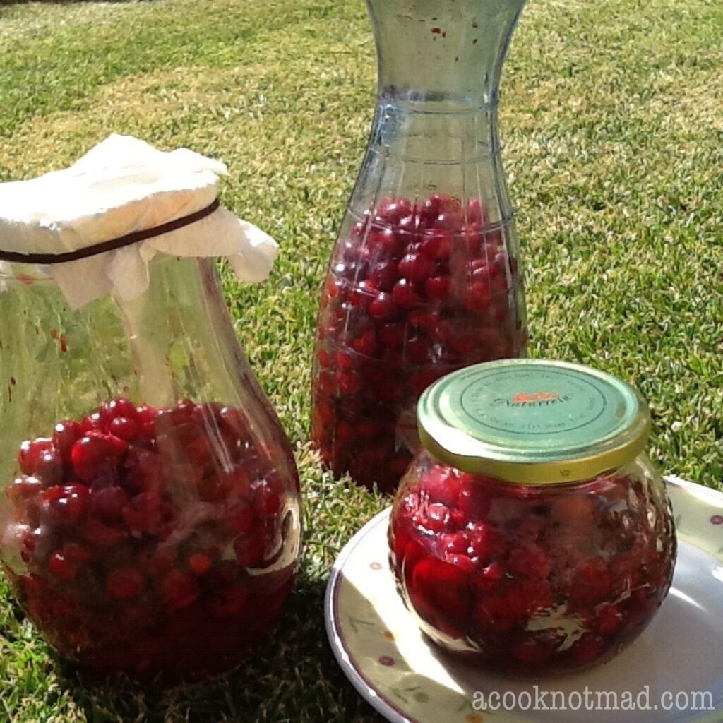 Three glass jars with cranberries on a grassy surface.