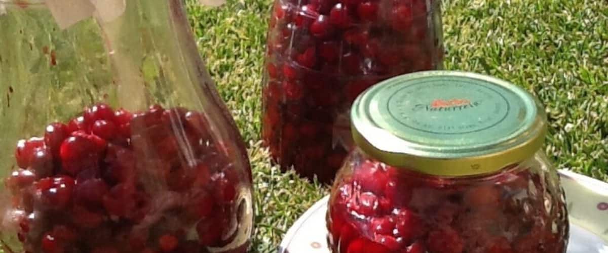Three glass jars with cranberries on a grassy surface.