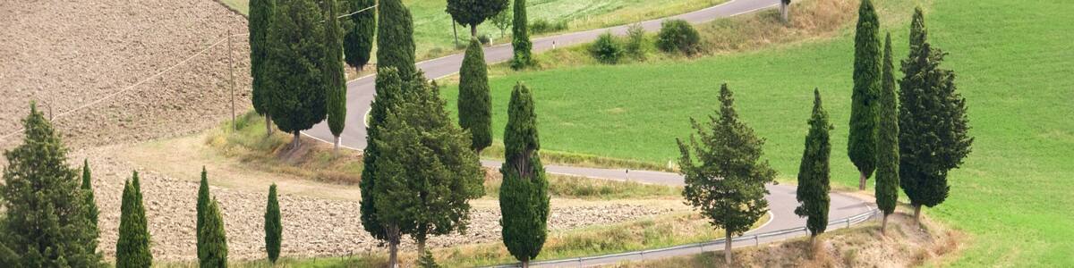 Monticchiello which includes a park