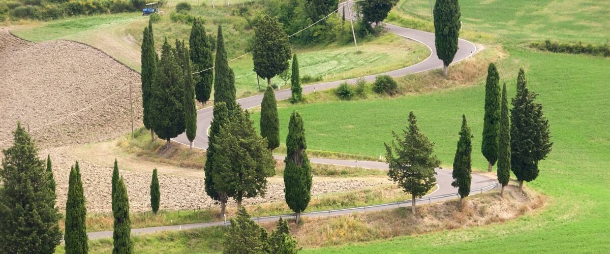 Monticchiello featuring a park