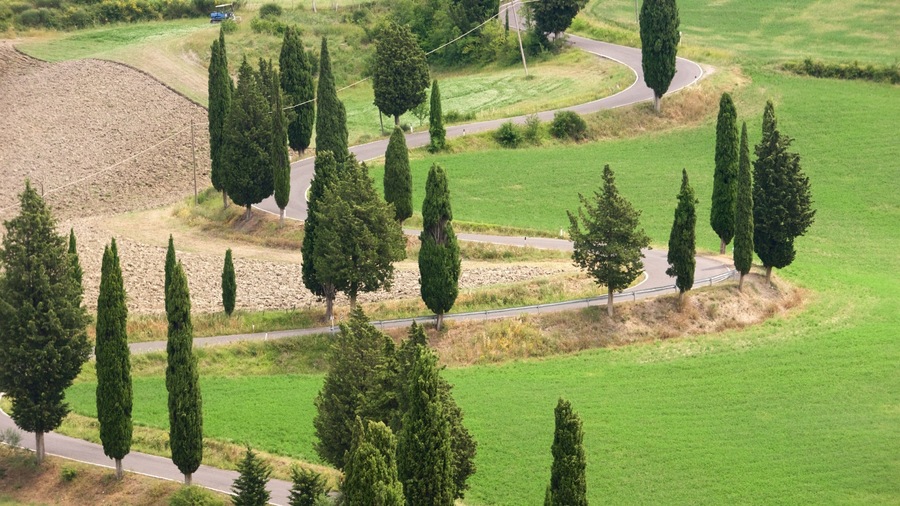Monticchiello featuring a park