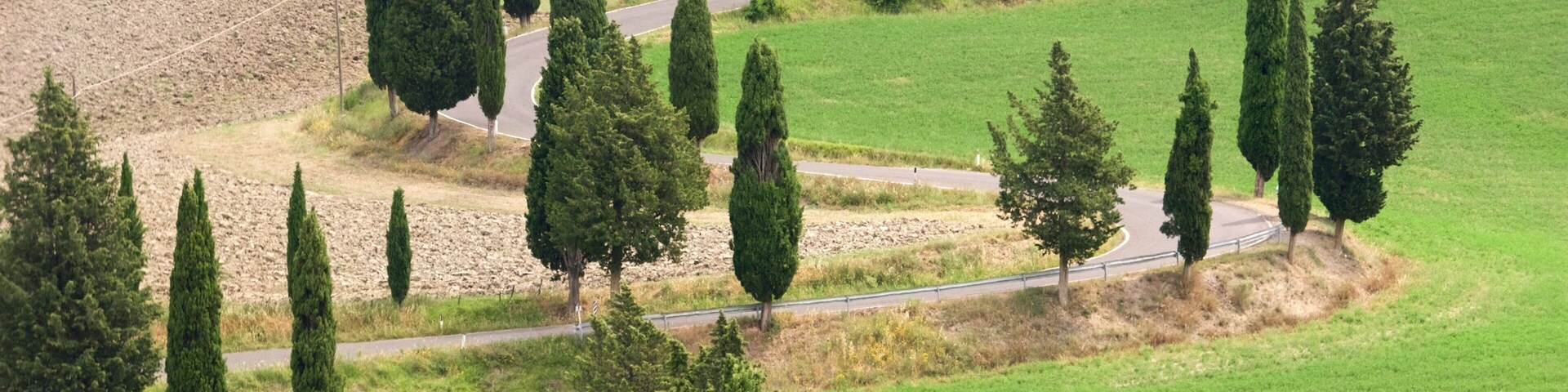 Monticchiello caracterizando um jardim