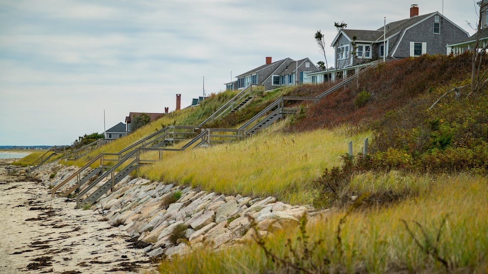 A coastal landscape with a beach, grassy dunes, and a row of houses with stairs leading up to them.