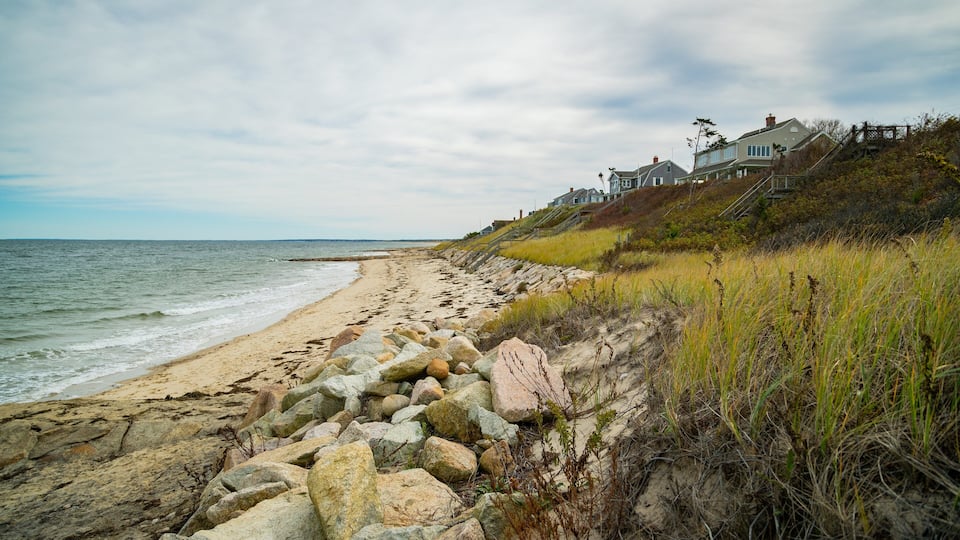 A rocky beach with houses on a grassy hill.
