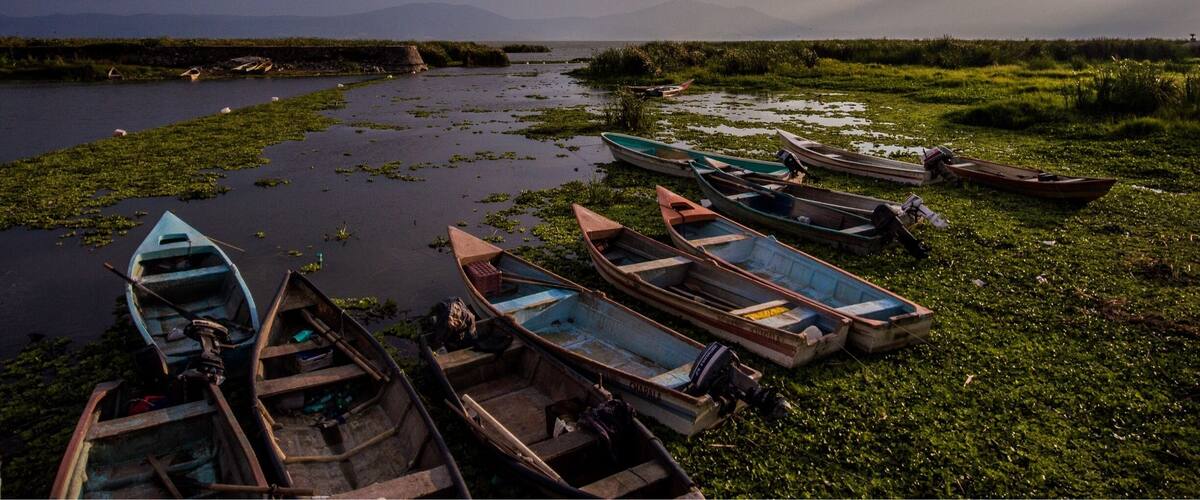Laguna Chapala is a small town next to a lagoon where you can find beautiful Mexican colors and culture. Located at 1 hour from Guadalajara, is one of the “must” if you are visiting Jalisco. Next to it, you can find Ajijic, a place you’ll love to eat and walk. #mexico #guadalajara #jalisco #laguna #chapala #lagunachapala #ajijic #travelmexico #discovermexico #mexicoplaces #boats #tapatio