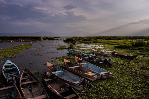 A riverbank with several small boats lined up.