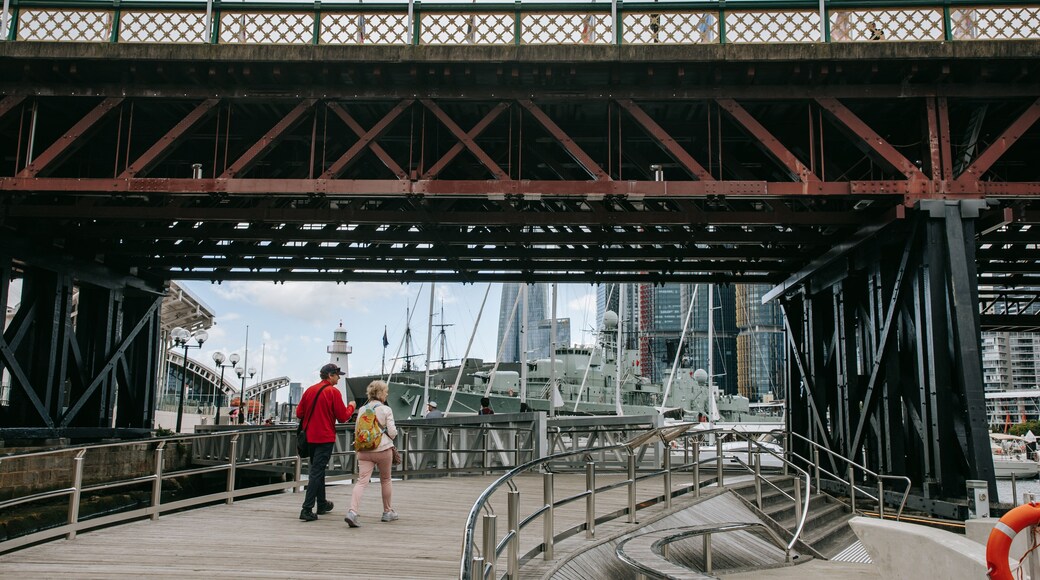 Pyrmont Bridge which includes a bay or harbor as well as a couple