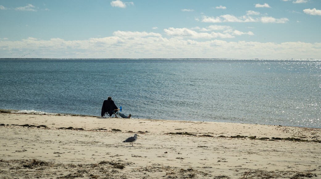 South Harwich featuring a sandy beach and general coastal views