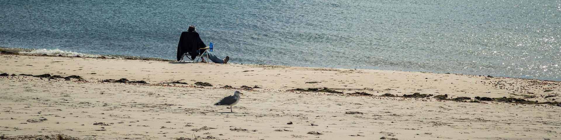 South Harwich featuring a sandy beach and general coastal views