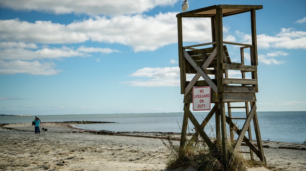 South Harwich featuring a sandy beach and general coastal views