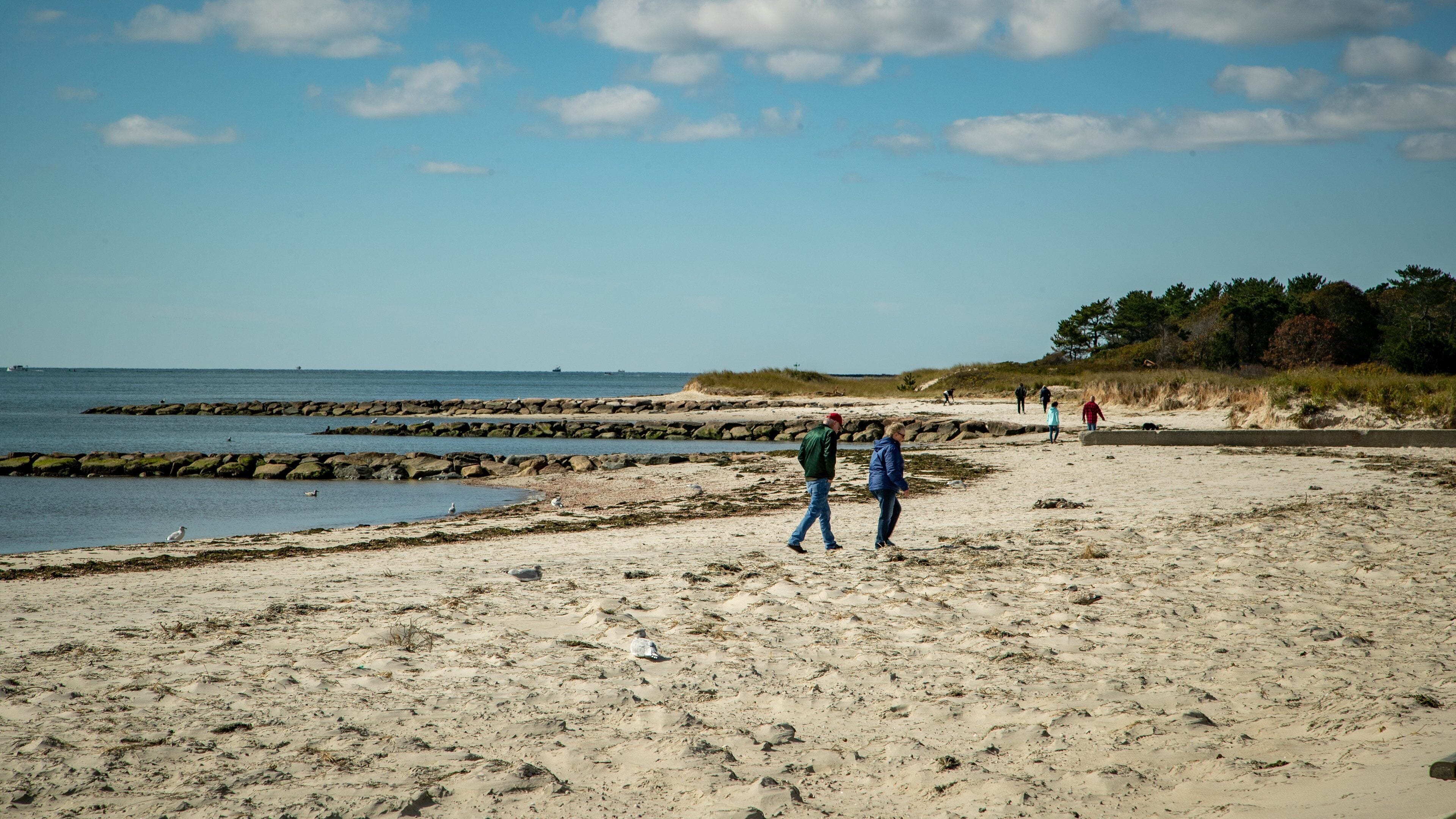 South Harwich which includes general coastal views and a sandy beach as well as a couple