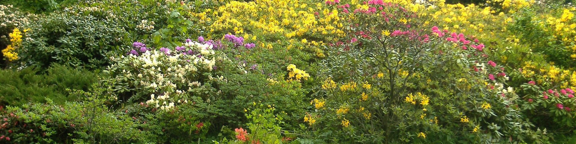 Wiesenburg Schlosspark