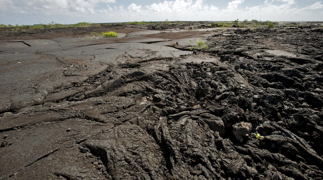 Saleaula Lava Field welches beinhaltet ruhige Szenerie