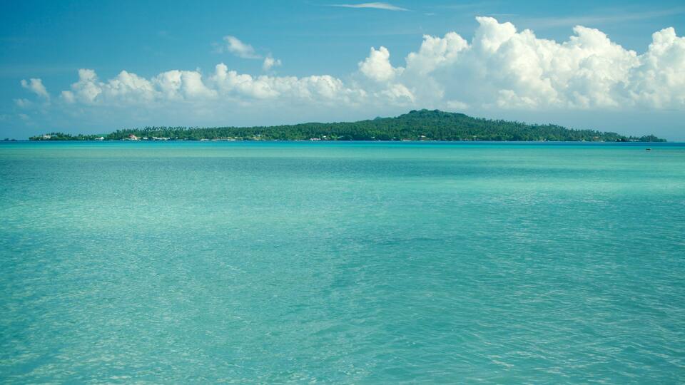 A turquoise sea with a small island in the distance.
