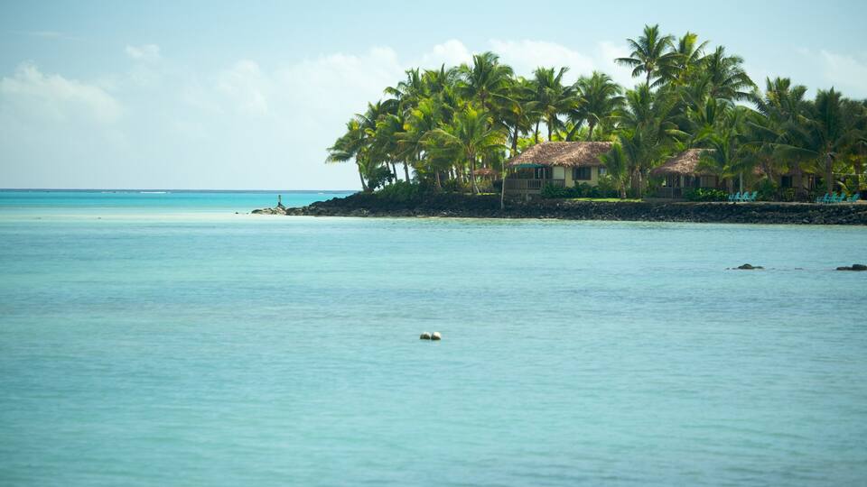 A tropical beach with clear turquoise waters, palm trees, and a thatched-roof hut.