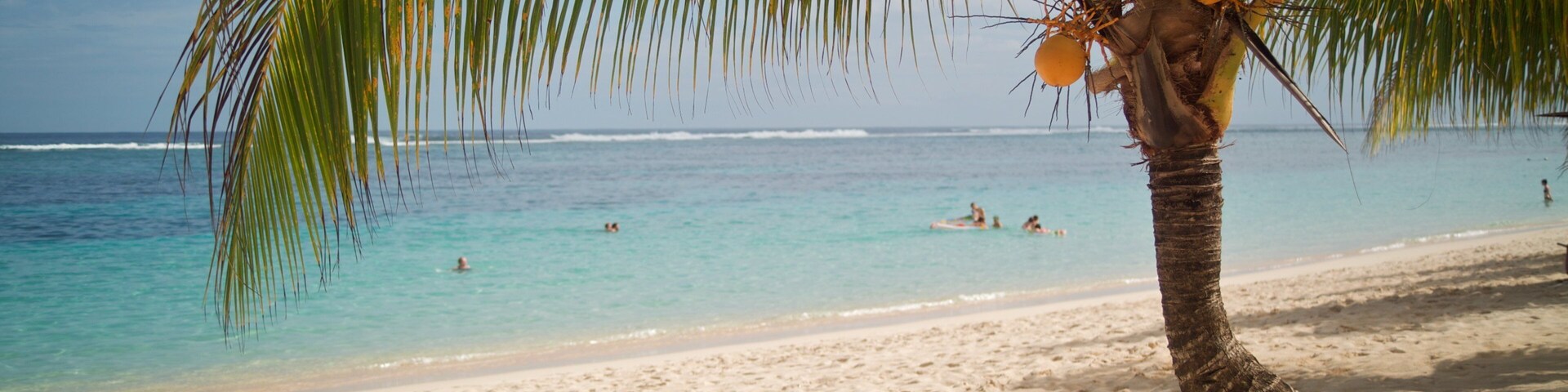 Una playa con una palmera, agua turquesa cristalina e huellas en la arena.