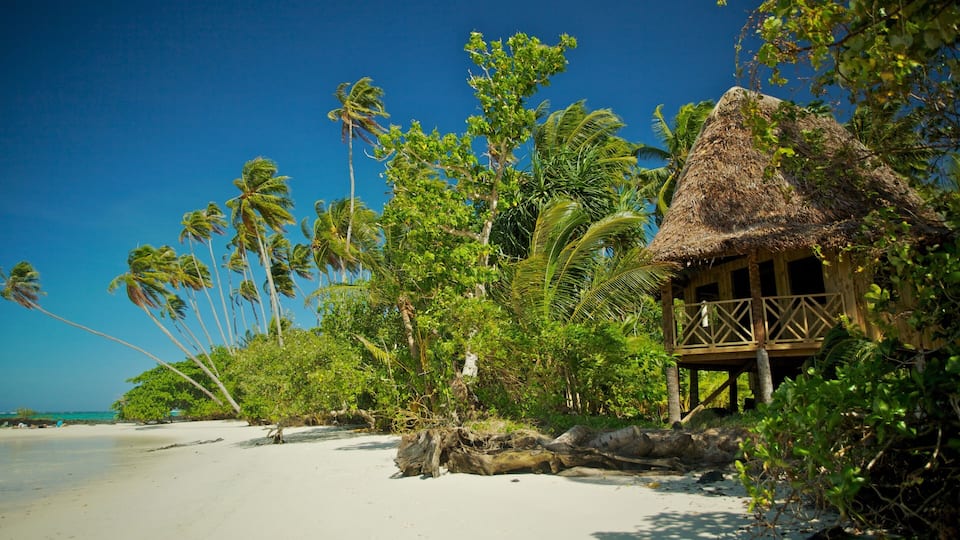 A beach with palm trees, a thatched-roof hut, and clear blue sky.