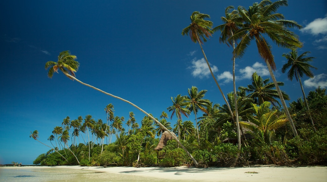 Upolu showing tropical scenes and a beach