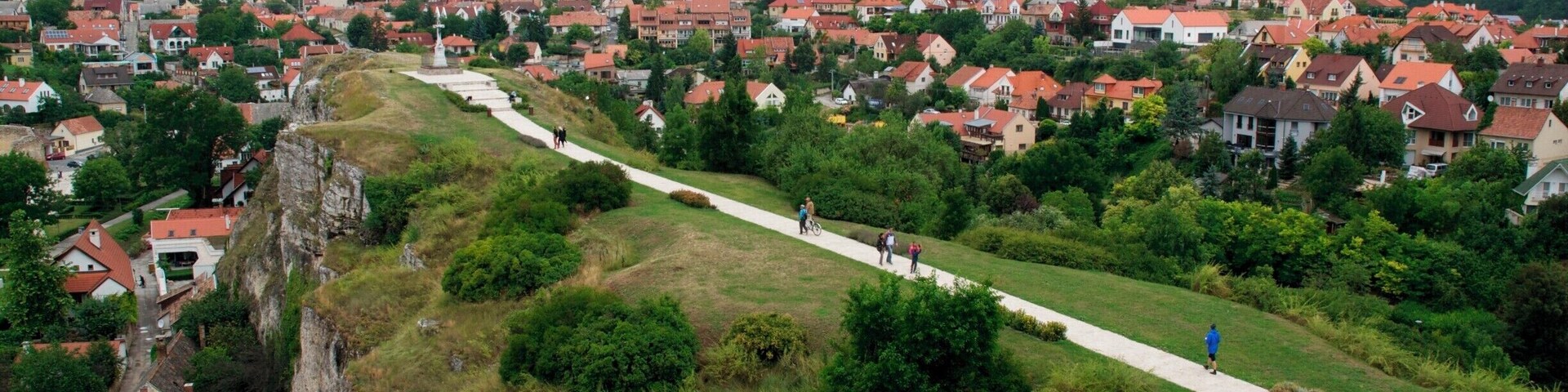 Benedec hill